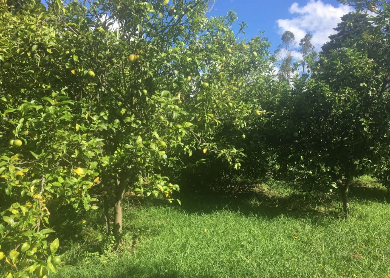 CAMPO DE 43 HECTAREAS EN ESTACION CHAPADMALAL, BATAN VENDE O PERMUTA