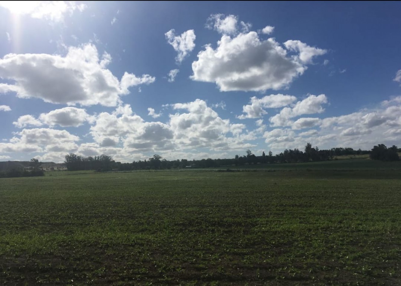 CAMPO DE 43 HECTAREAS EN ESTACION CHAPADMALAL, BATAN VENDE O PERMUTA