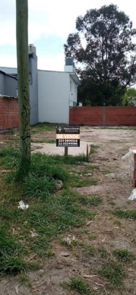 LOTES VARIOS DE 213M2 EN ADELANTE CON TODOS LOS SERVICIOS EN EL BARRIO LOS PINARES