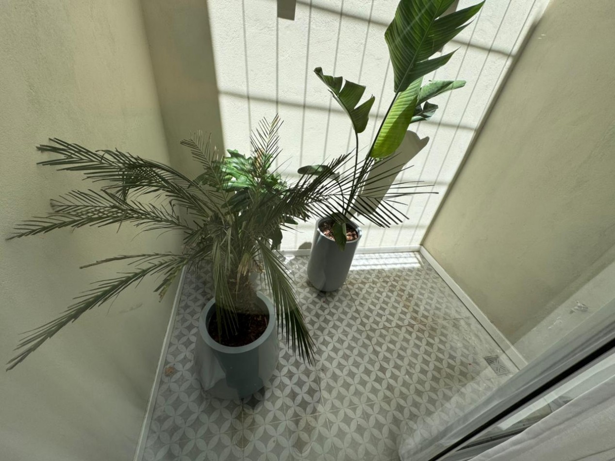 Cinco ambientes a la venta, Mar del Plata.