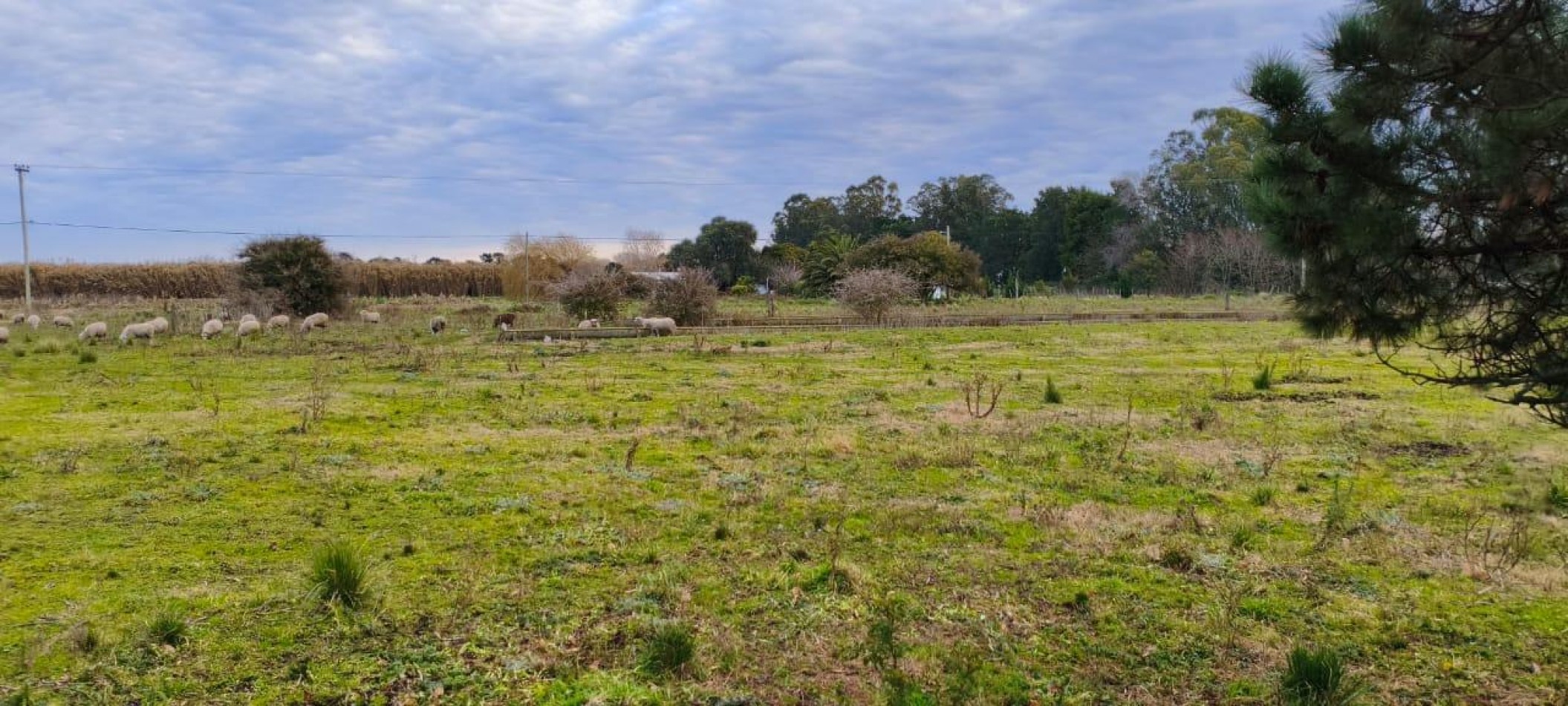 Campo en Venta Barrio Batan 
