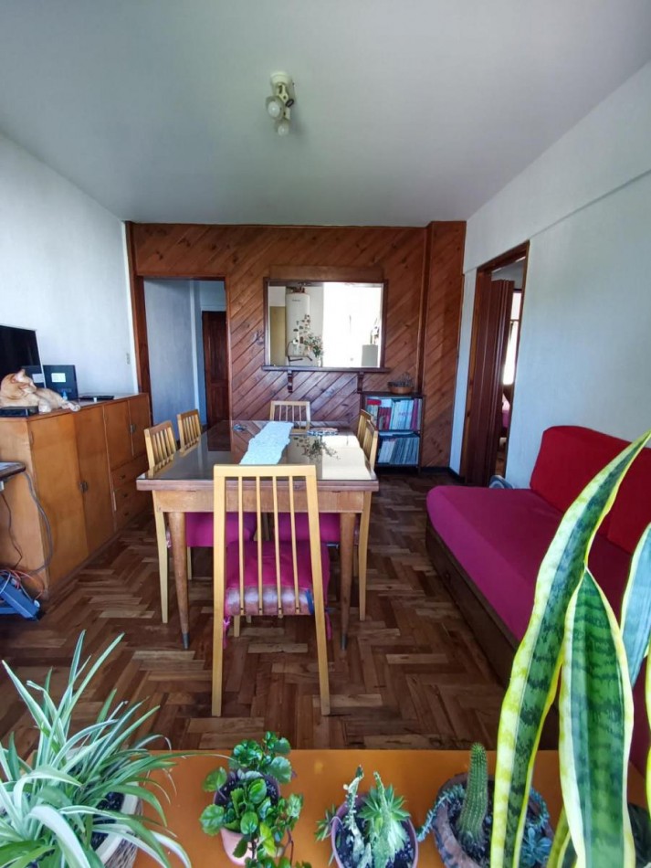 Departamento 3 Ambientes Zona Constitucion, Mar del Plata, Buenos Aires